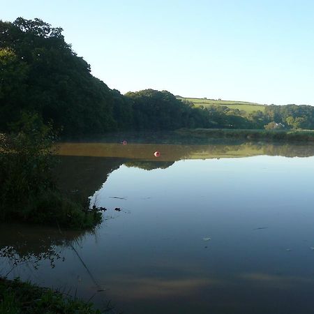 Rumleigh Farm Bere Alston Luaran gambar