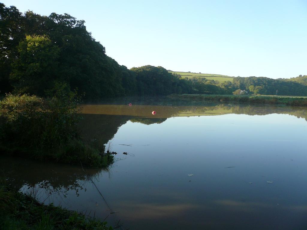 Rumleigh Farm Bere Alston Luaran gambar